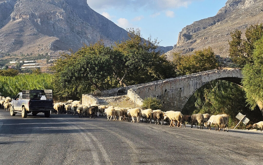 ΟΠΕΚΕΠΕ: «Μου βρήκαν λογιστή, μεσίτη και νοίκιασα χωράφια στα Γρεβενά» – Ενοχή 14 προσώπων ζητεί ο εισαγγελέας