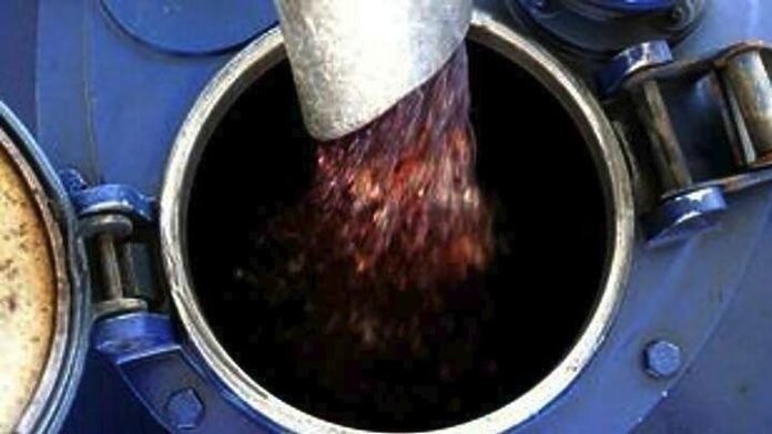 petrelaio-thermansis-ape