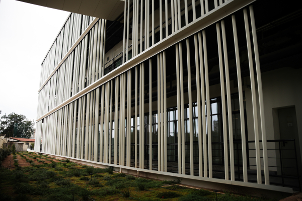 Η εφορία σαρώνει τραπεζικούς λογαριασμούς – Μπλόκο σε ΑΦΜ από την ΑΑΔΕ