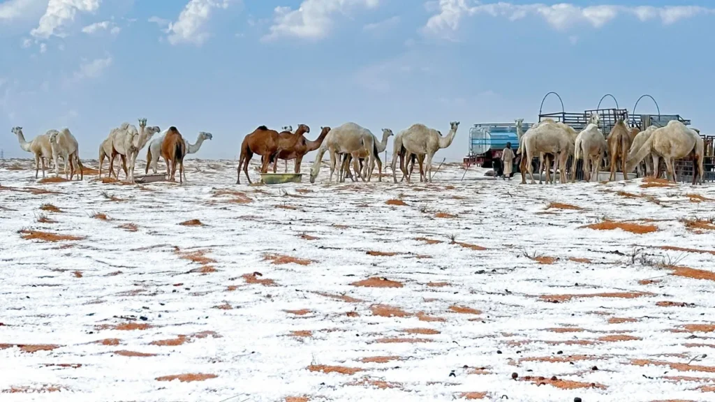 Στα λευκά «ντύθηκαν» Σαουδική Αραβία και Κατάρ – Εντυπωσιακές εικόνες με χιόνια σε αμμόλοφους