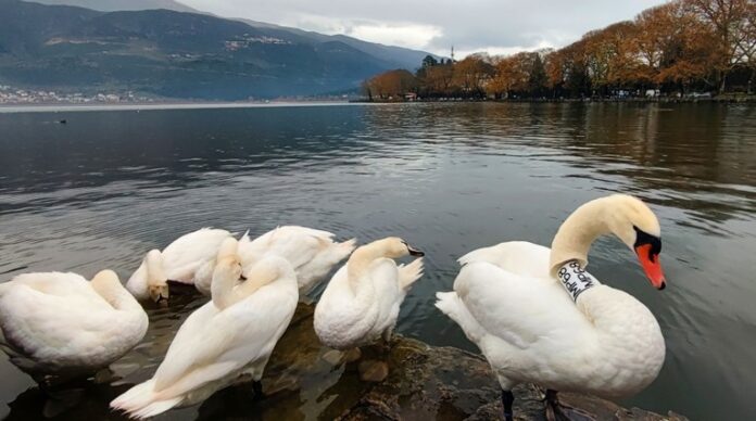 aa08eb66f7994ee2bf3884d9a4edc83c