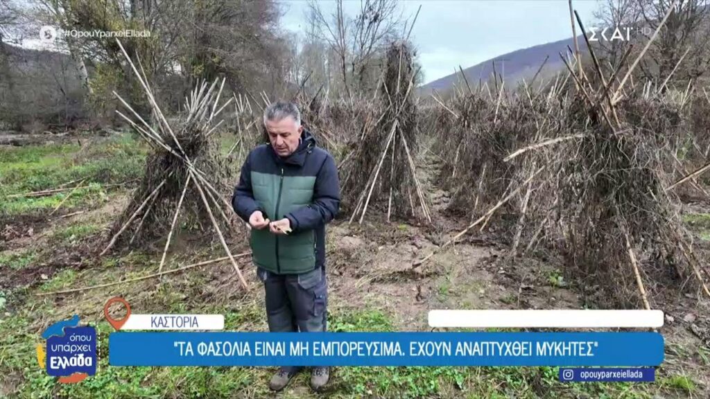 ΣΚΑΪ: Σε απόγνωση αγρότες της Καστοριάς από την υπερχείληση του Αλιάκμονα (βίντεο)