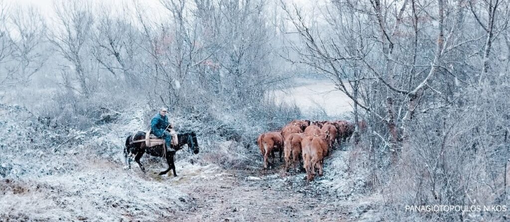 Οι Άνθρωποι των Λασπόνερων στα ορεινά του Νομού Καστοριάς
