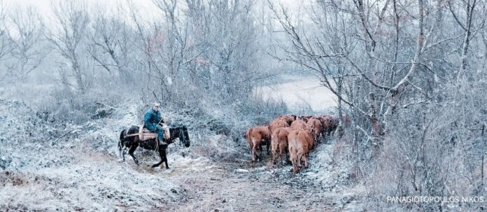 612280275_26068035059448156_5691082236407799618_n