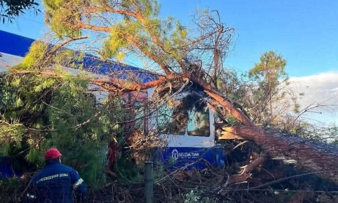 6b80c54f-22222222222