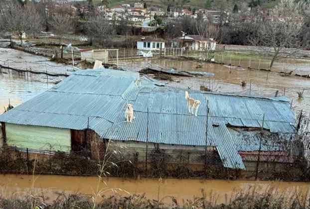 katastrofes_08_01_26-1-wp