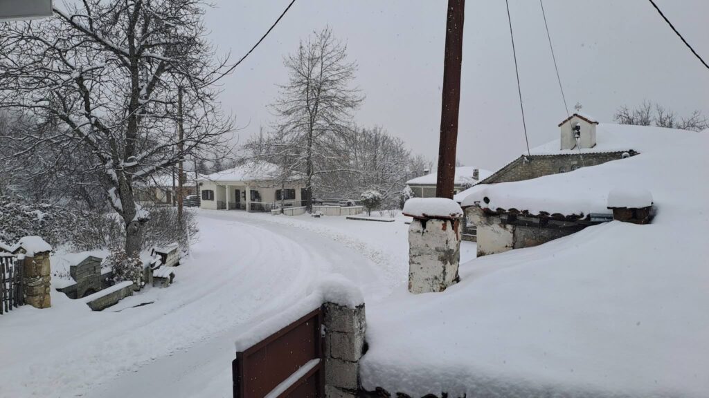 Στα «λευκά» το Καστανόφυτο: Το χιόνι ξεπέρασε τους 20 πόντους (φωτογραφίες)