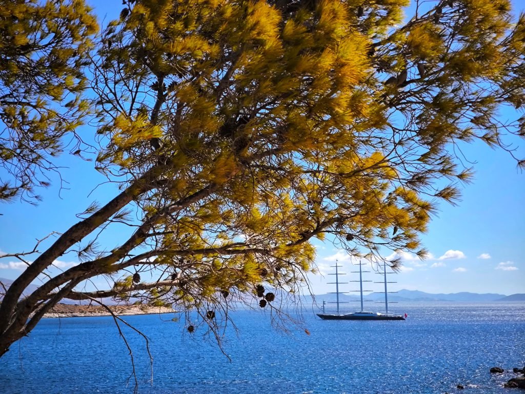 Καιρός: Έρχονται Αλκυονίδες; O υποτροπικός αεροχείμαρρος φέρνει την άνοιξη μέσα στο χειμώνα