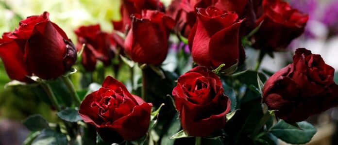 1000_c1d85267-e25f-4640-887c-8cda0168956f