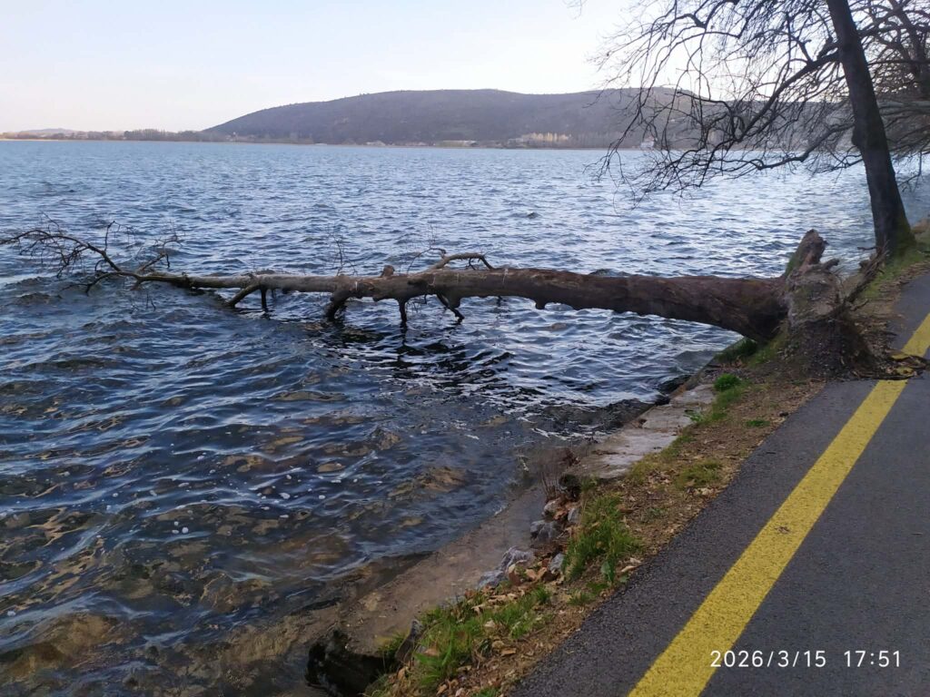 Τα  πλατάνια που σαπίζουν στο νερό της λίμνης και οι φωνές που “σιώπησαν”