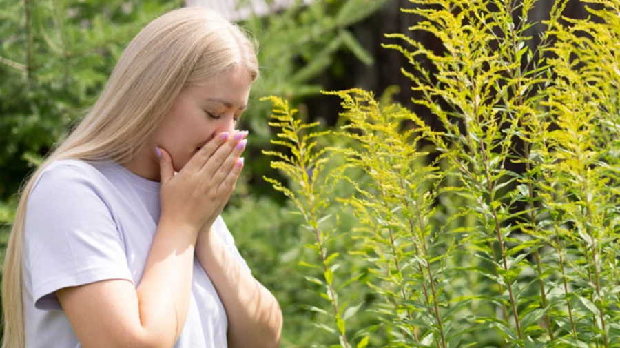 Άσθμα και αλλεργίες την άνοιξη: Τι πρέπει να γνωρίζετε