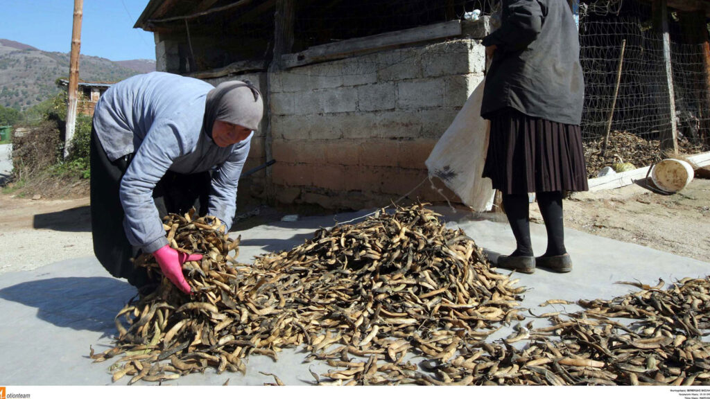 Έκτακτη γενική συνέλευση στον Αγροτικό Σύλλογο Άργους Ορεστικού για τα απαράδεκτα πορίσματα της ζημίας του καύσωνα του 2025