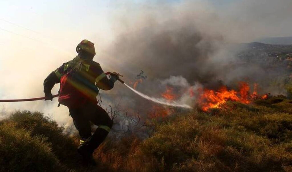 Πυρκαγιά στο Πευκόφυτο Καστοριάς: Μεγάλη κινητοποίηση της Πυροσβεστικής στον Γράμμο