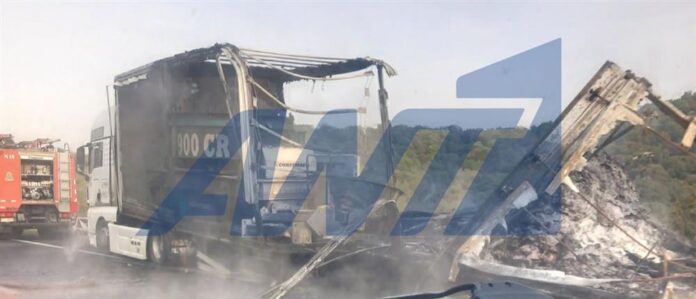 1000_d94d7e8b-7d23-4a5c-ab18-4343561bd464