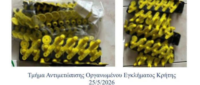 1000_35d8ab97-bdec-48b5-b2a5-56d611f35e65
