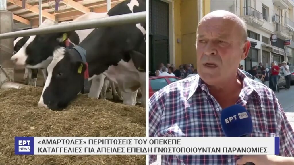 Δίκη ΟΠΕΚΕΠΕ: Τι κατέθεσε ο Δημήτρης Μόσχος